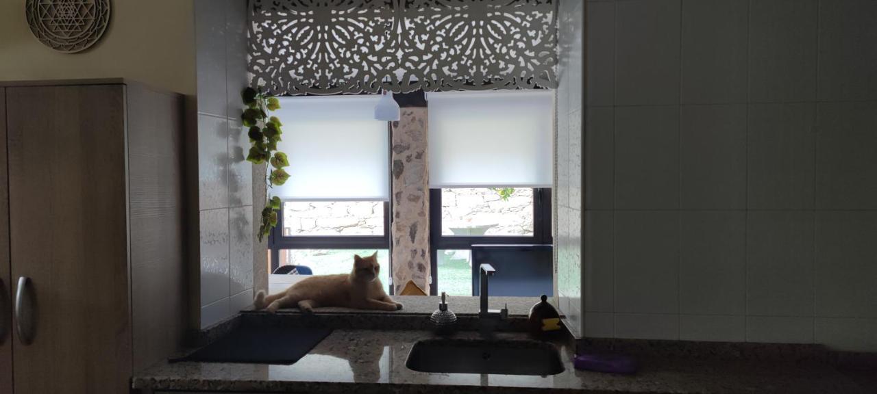 O Remanso Devesa Villa Pontevedra Dış mekan fotoğraf